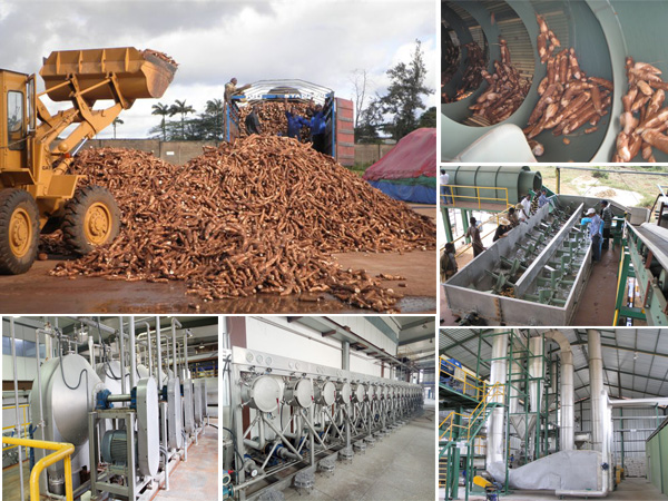 cassava starch processing machines