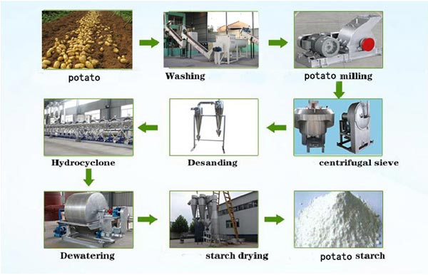 potato starch production machine flow process chart