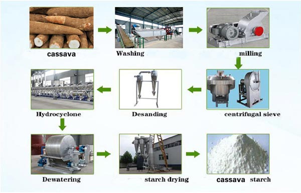 Cassava processing starch process