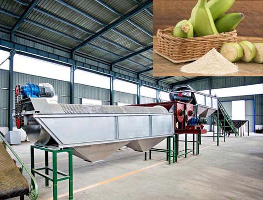 Plantain flour processing machine
