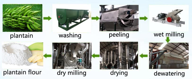 Plantain Flour production machine flow process chart