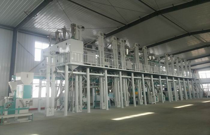 Corn-powder-making-process-during-the-corn-glucose-syrup-processing-line