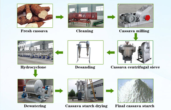 cassava-starch-processing-plant