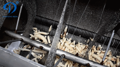 Automatic-cassava-peeling-and-washing-machine