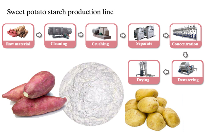 Sweet-Potato-Starch-processing-line-Project