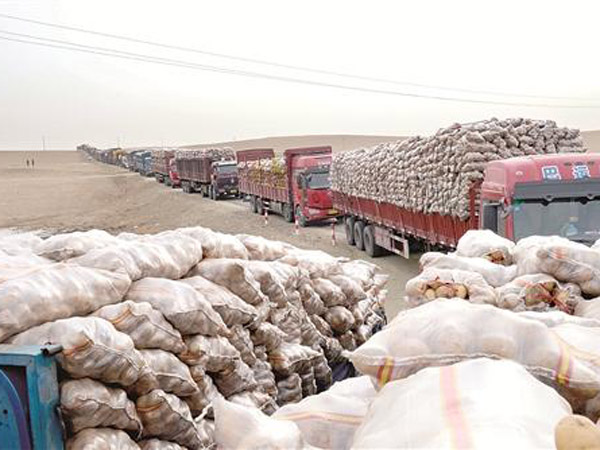 Pakistan-Potato-Starch-Project-Report
